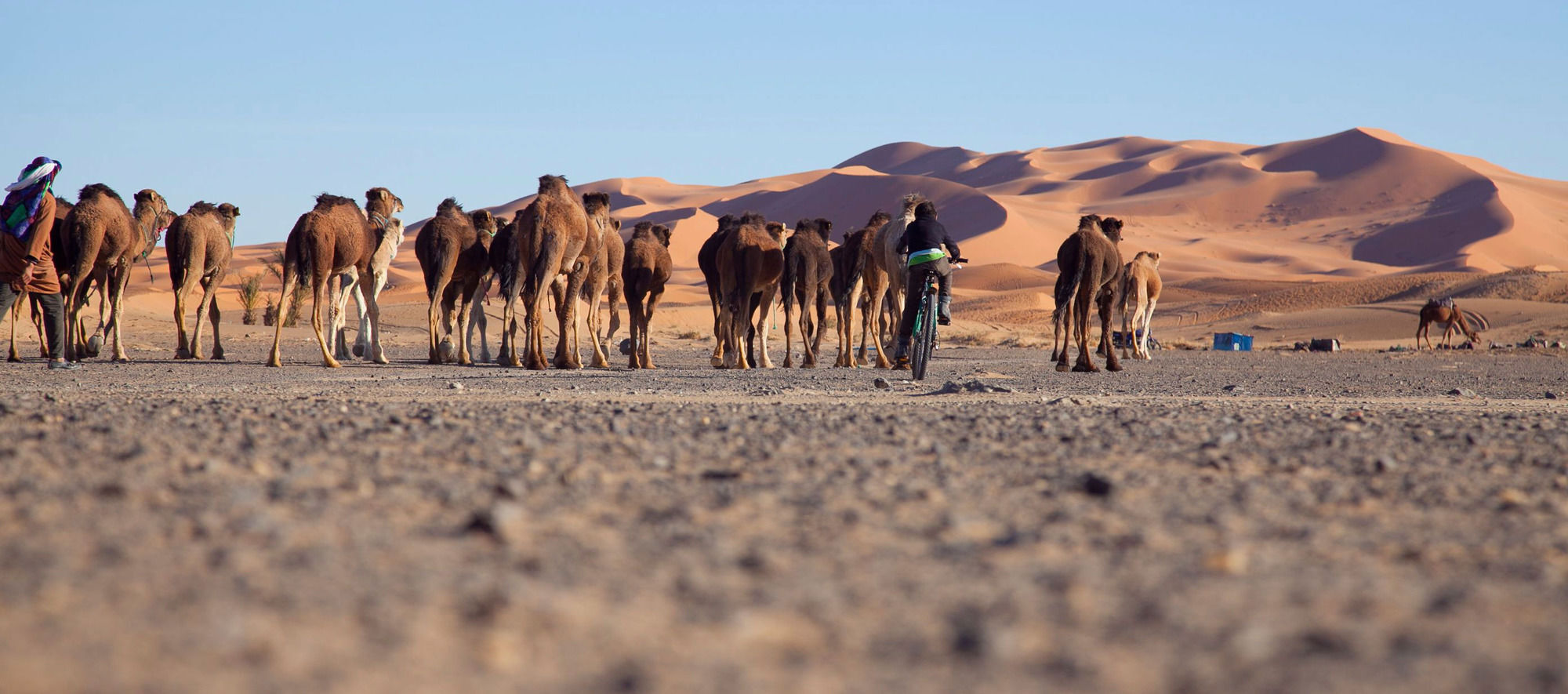 Kam Kam Dunes Merzouga Exteriör bild